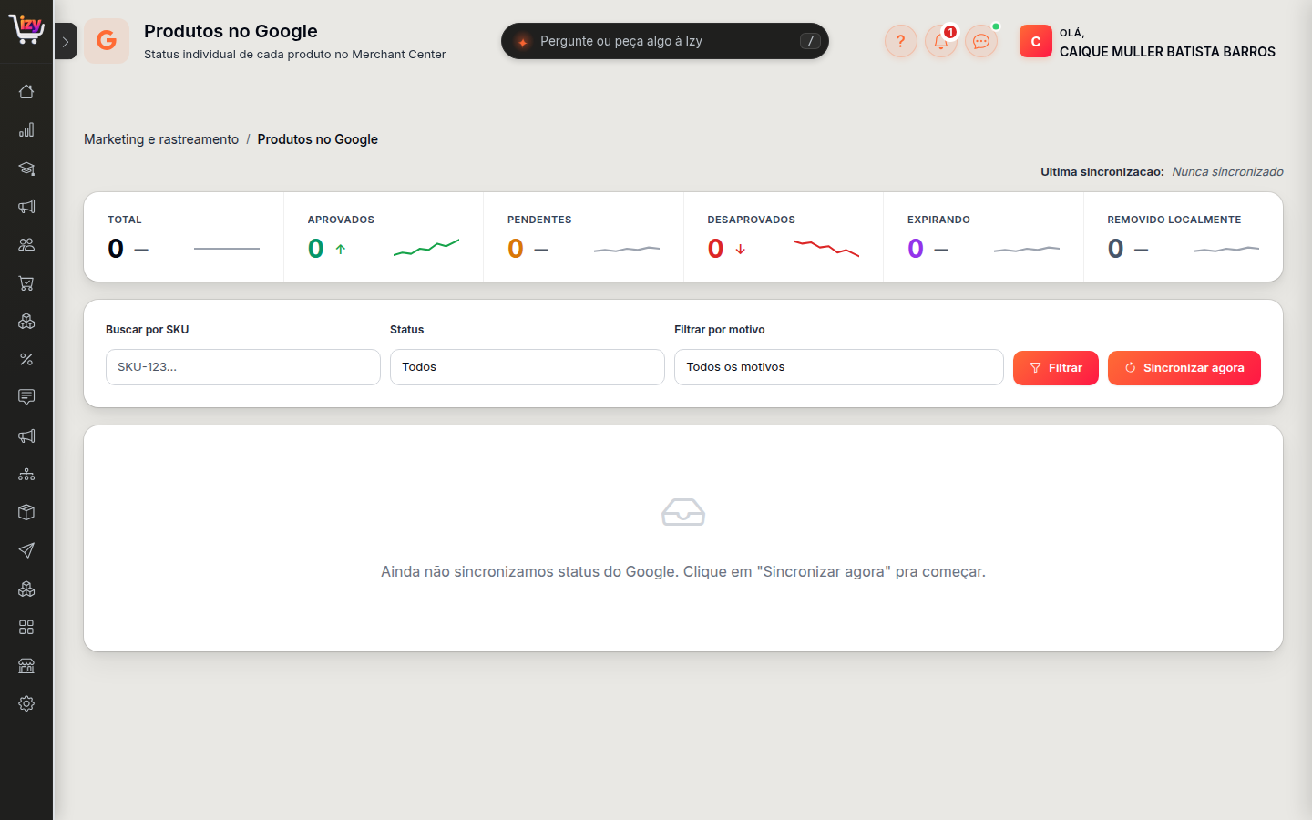 Painel de produtos no Google, com os números por status