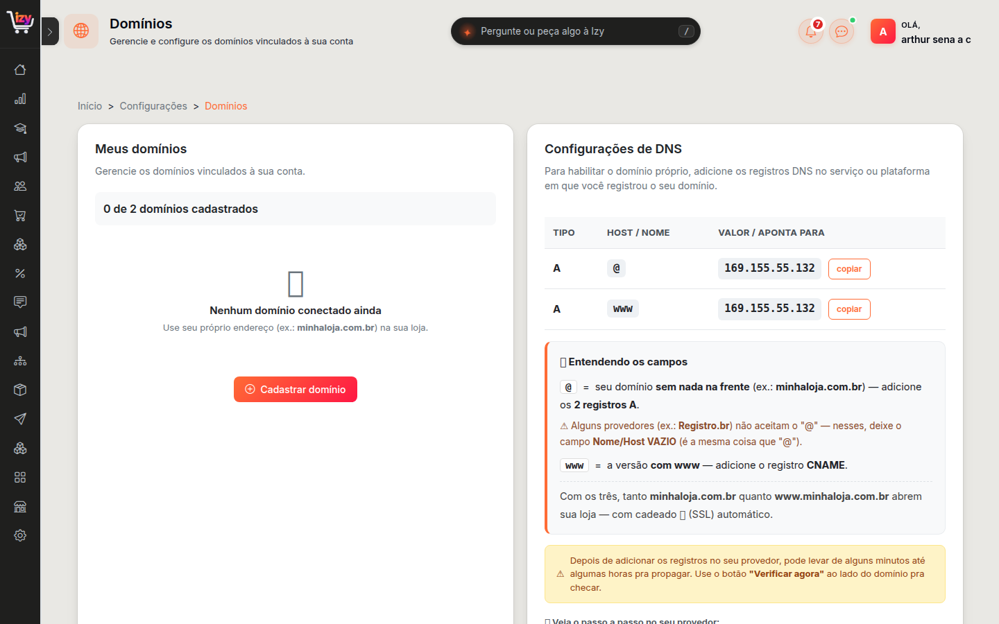 Tela de Domínios com os registros DNS a copiar e a explicação dos campos